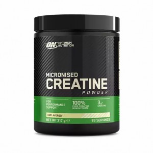 Optimum Nutrition Micronised Creatine Powder 317 grams (93 Servings) Malaysia | 916SIKUPZ